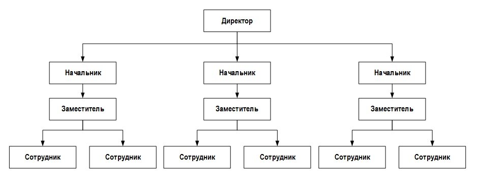 Рисунок №1 — Структурная схема компании​