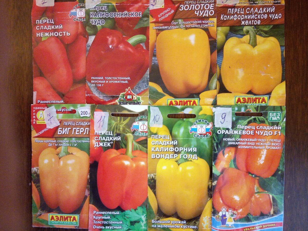 Сорта перца сладкого, которые я посадила