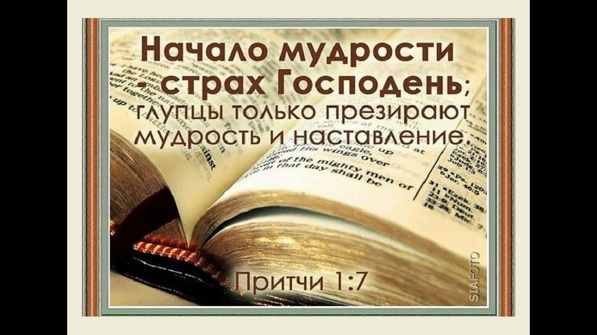 Картинка взята из общего и свободного доступа в интернет