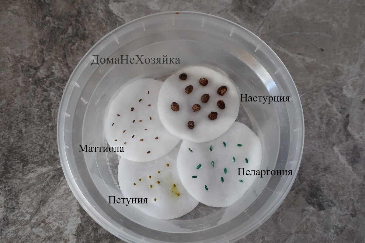 листайте фото