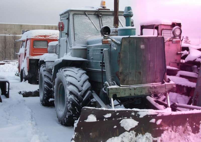 Яндекс. Картинки.