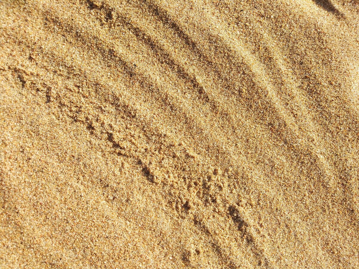 "Песок". Фото без обработки. 2020 год