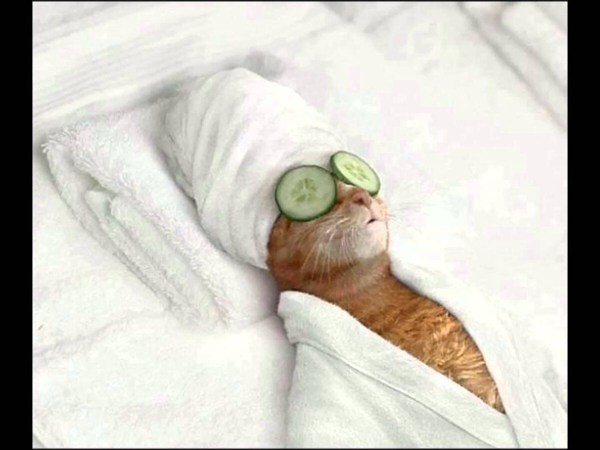 Фото с просторов интернета