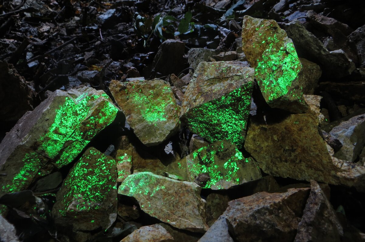 Люминесценция вторичных урансодержащих минералов. Фото в УФ-свете. Бештаугорское U-месторождение. 
