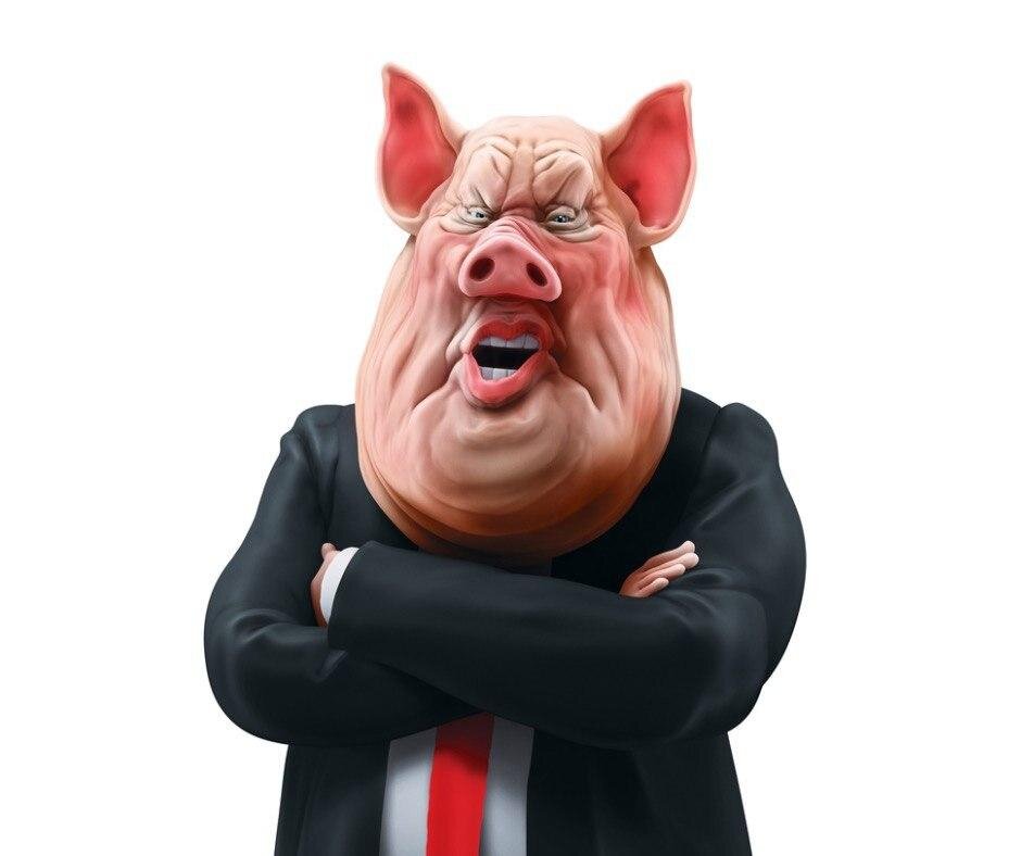 Изображение из открытых источников.