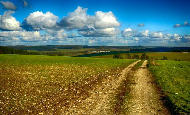 День был солнечным...
