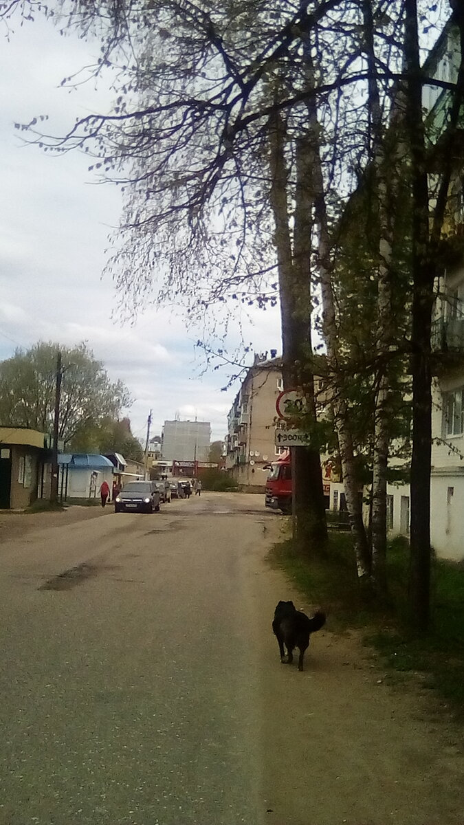 Улица