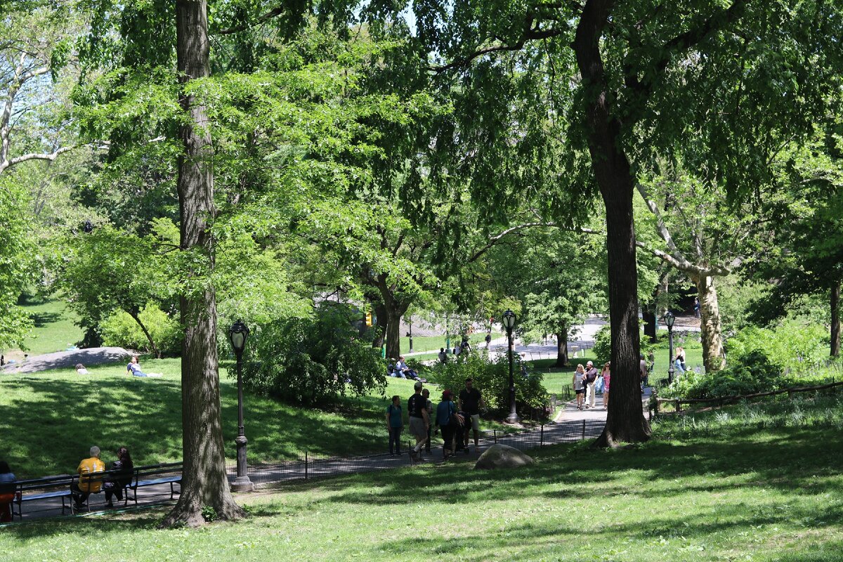 Централ парк Нью Йорка. Фото автора.