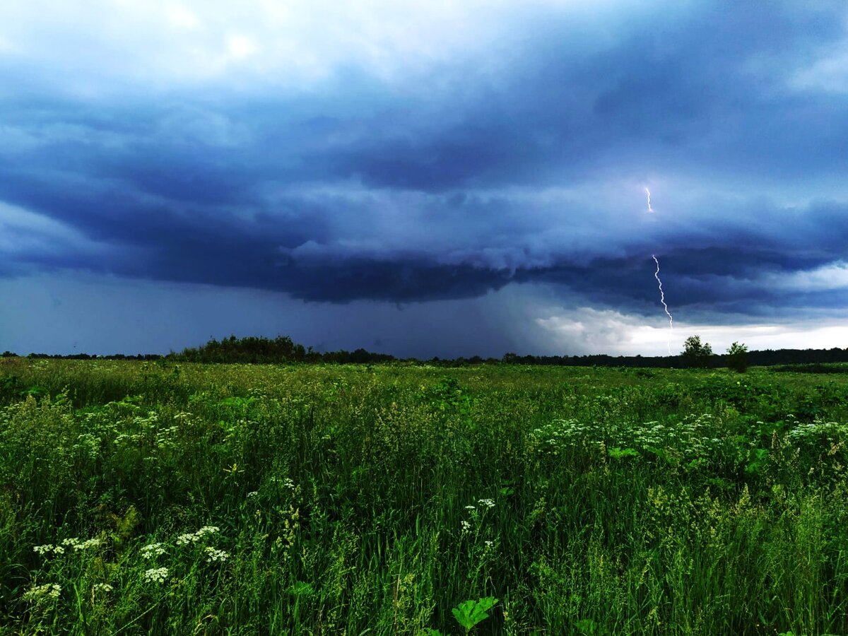 Долго ловила эту прелесть