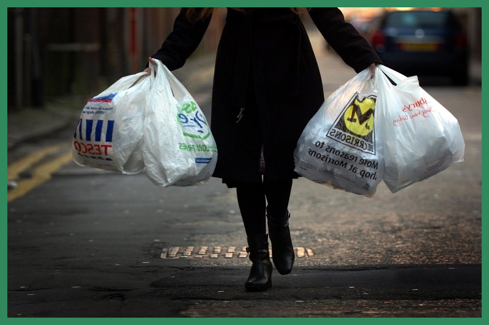 Скорее домой! Котёнок-сирота ждёт помощи! (Фото из открытых источников).