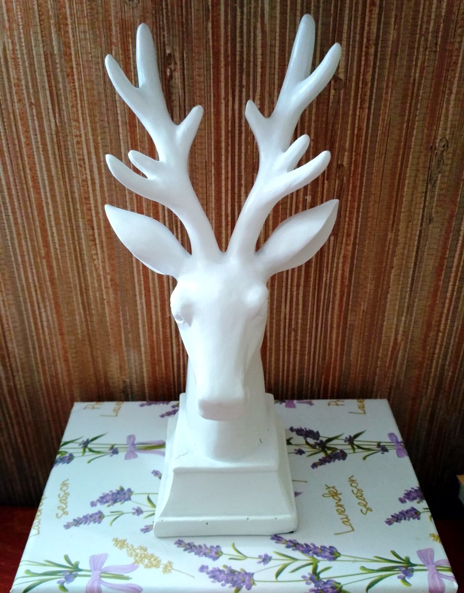 Фото автора статьи