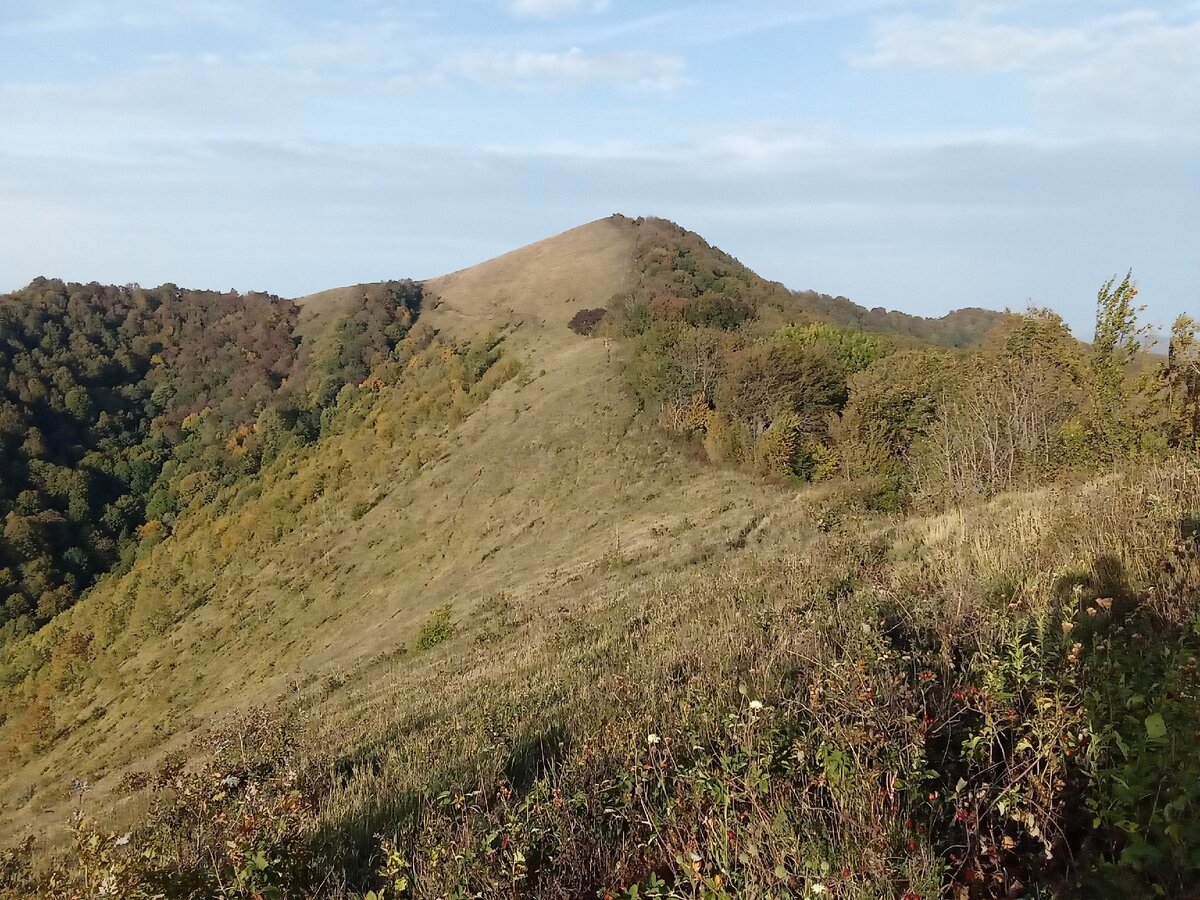 Вид на Почепсуху с отрога 