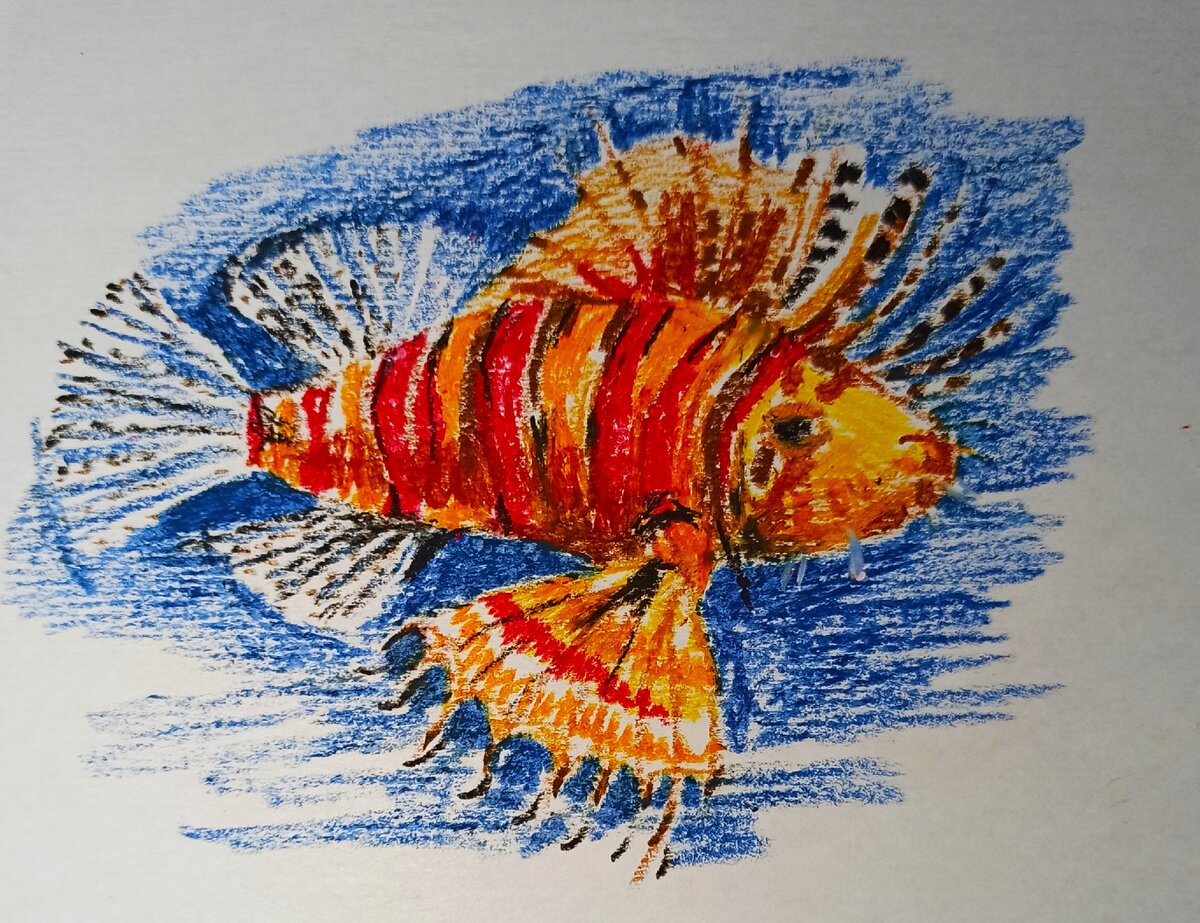 Масляная пастель, бумага. Автор Анна Спирина.