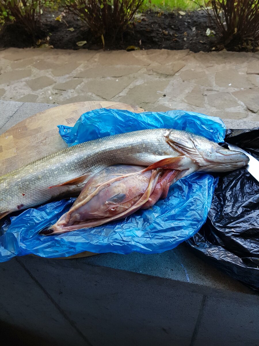 Первый сюрприз.