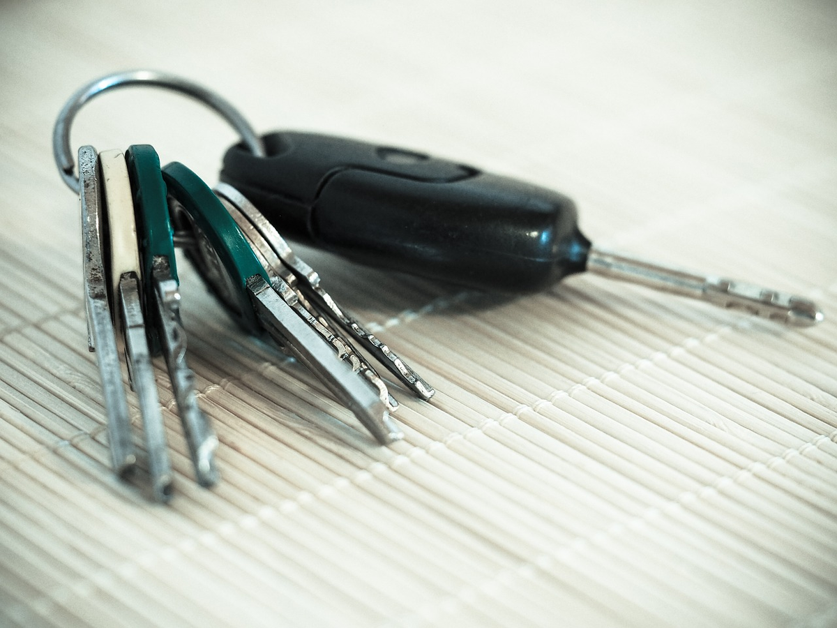 Кому бы вы доверили ключи от своего автомобиля? Фото: pixabay.com