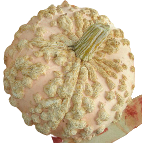 Самые необычные сорта тыквы