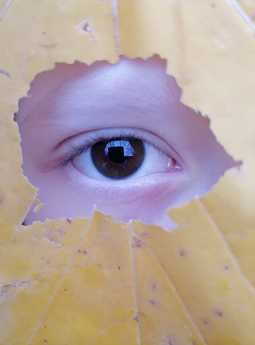 Взгляд в новую жизнь 