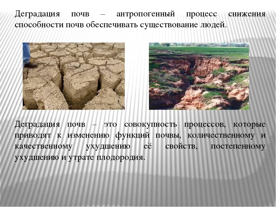 Фото с сайта infourok.ru