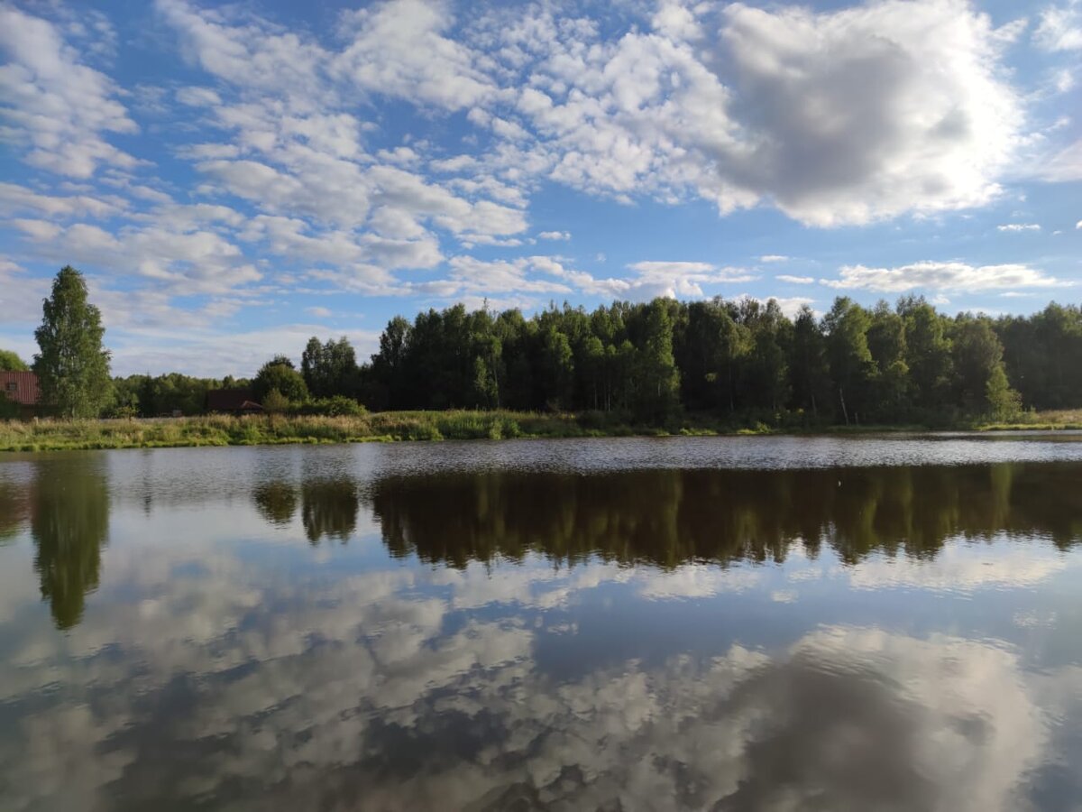 Берег новой жизни