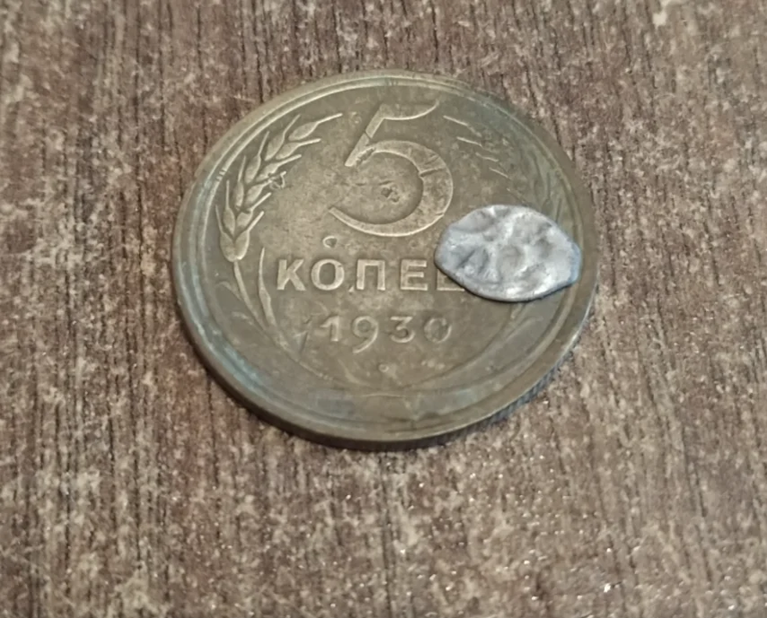 Серебряная "птичка" на фоне советской пятикопеечной монеты. Вот такого размера цель прибор должен уметь выцеплять со вменяемой глубины!