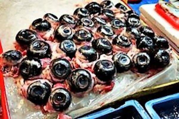 👀👀👀🤷‍♀️