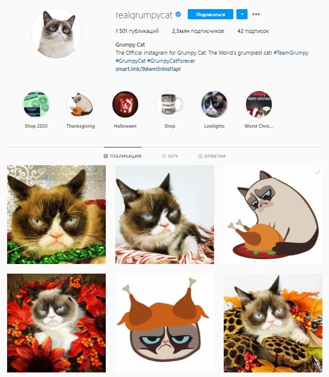 https://www.instagram.com/realgrumpycat/