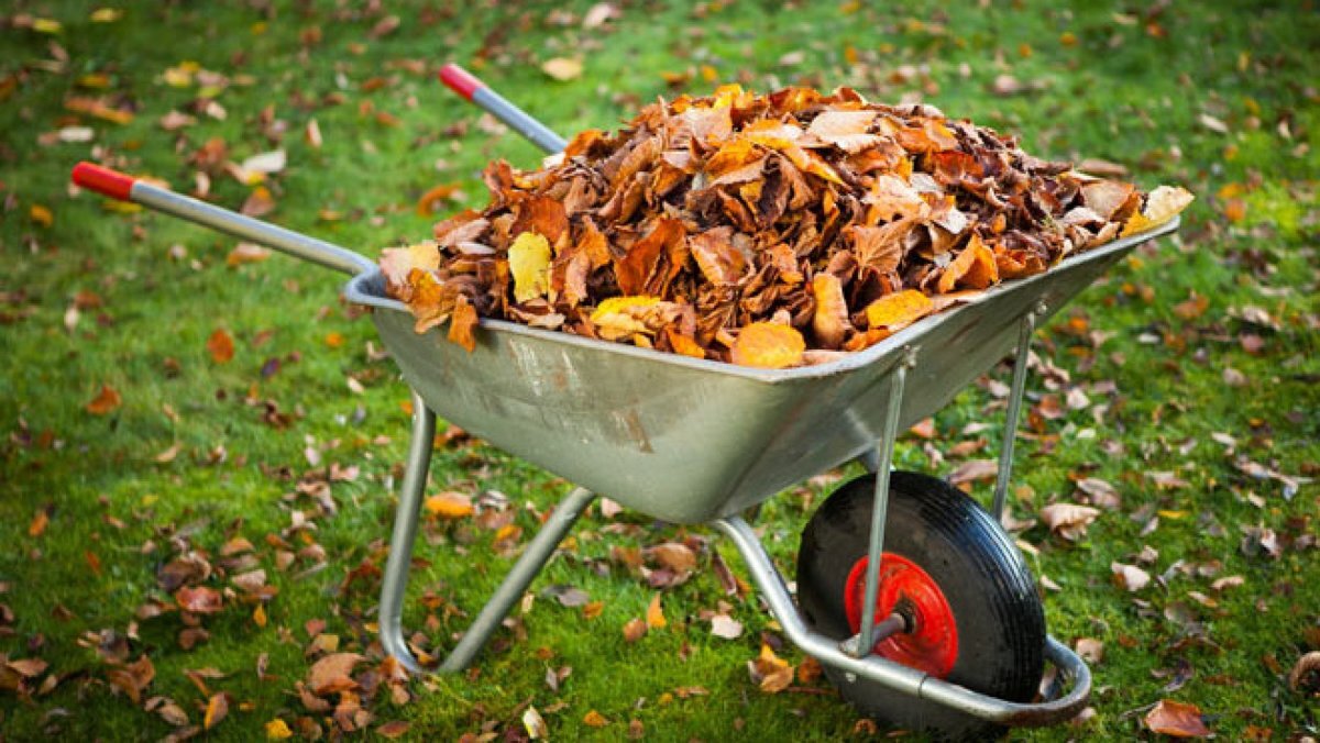 Фото в свободном доступе