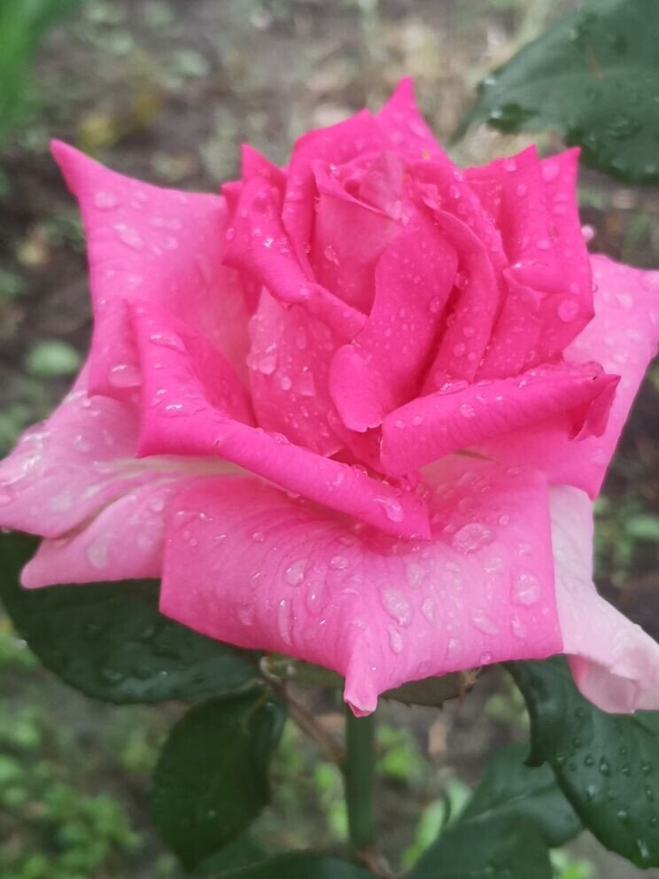 Фото из  личного архива.