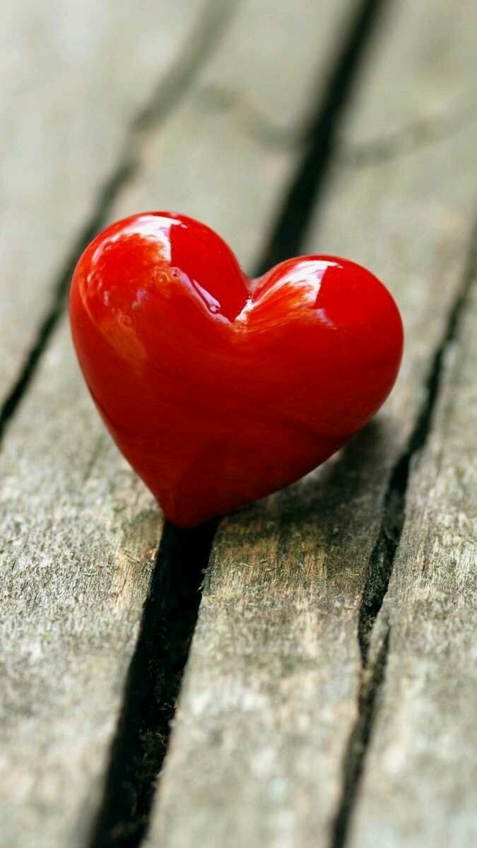 Яндекс. Картинки