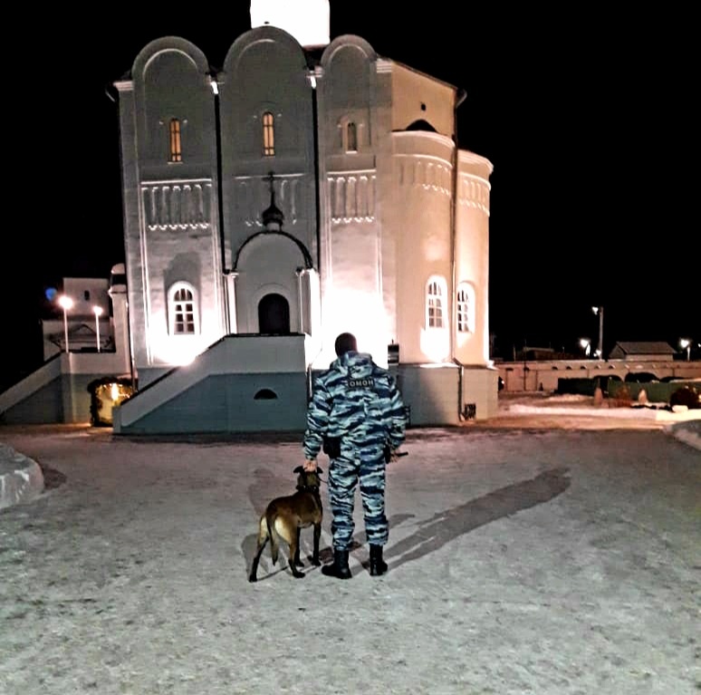 Автор фото: Пресс-служба Управления Росгвардии по Ульяновской области