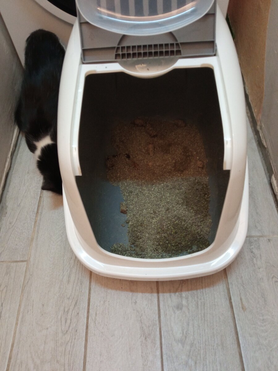 В лотке видна степень бедствия. Фото автора.