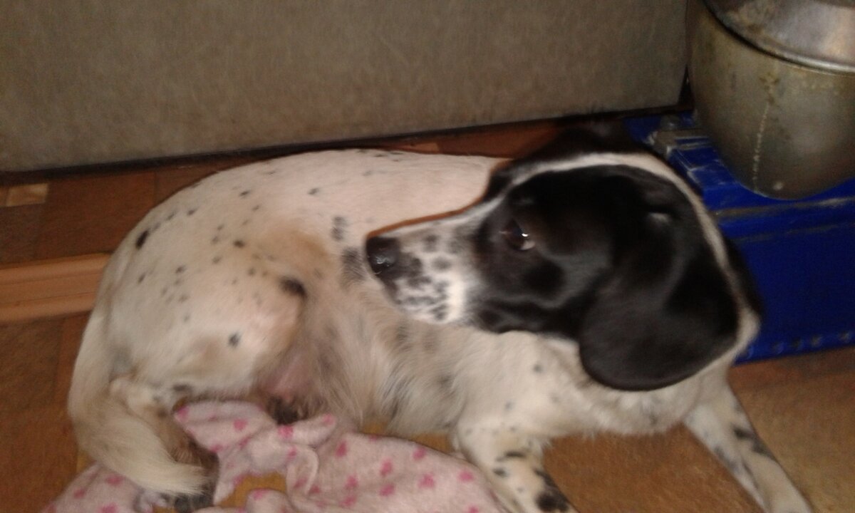 фото из архива Общественной организации Хочу Домой