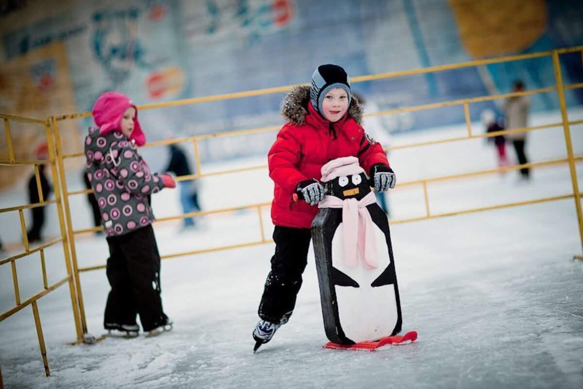 Фото из открытого источника в интернете.