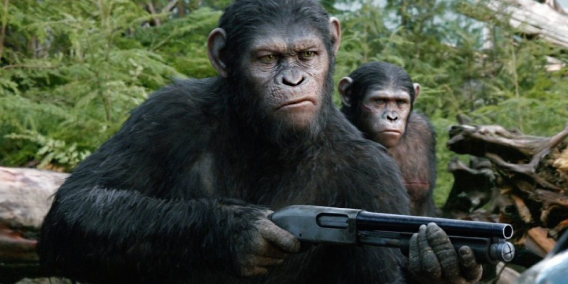 Взято из открытых источников