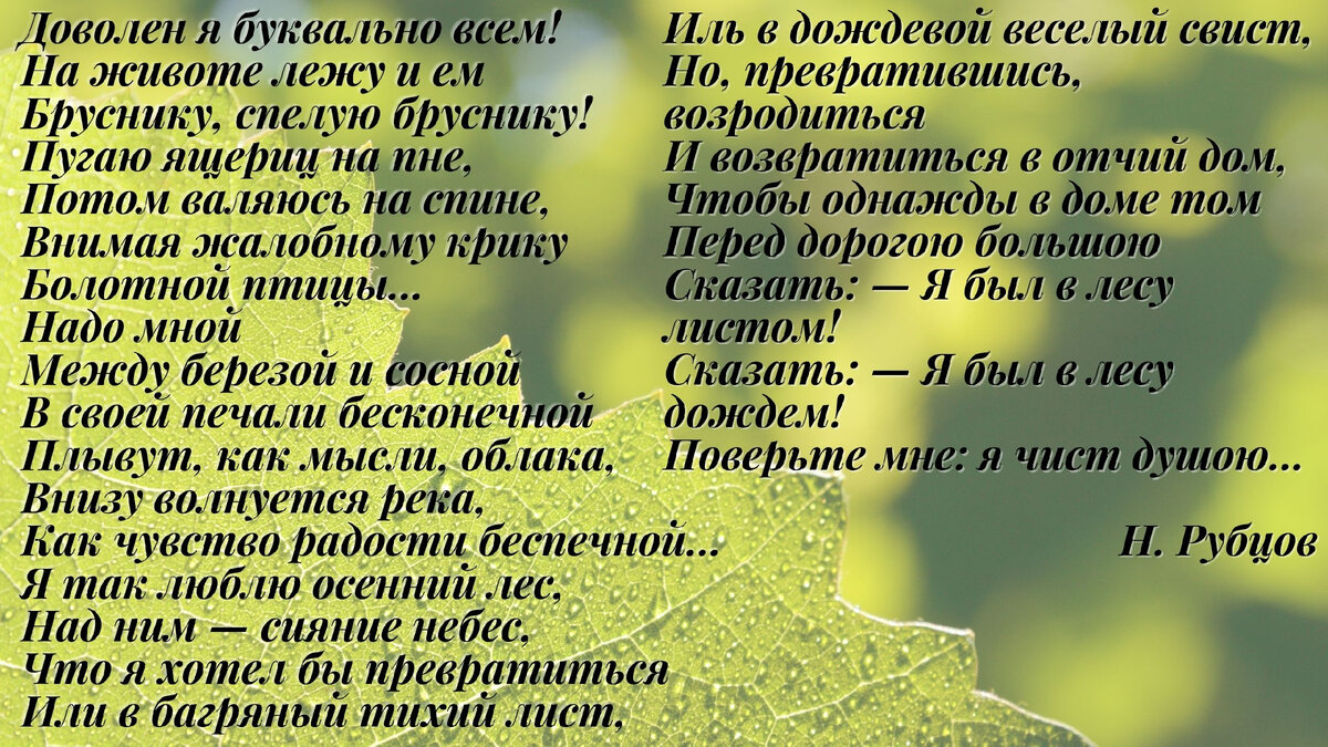 Анализ стихотворения А.А. Фета «Учись у них — у дуба, у берёзы...»