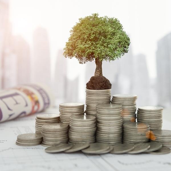 В чём лучше выращивать свой капитал?  И здесь, как вариант,  диверсификация по валютам.