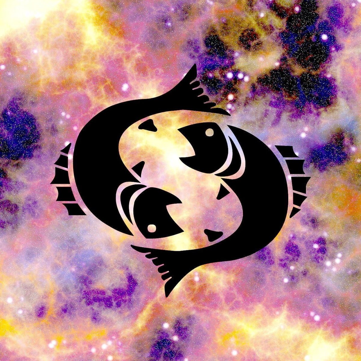 Фотография взята из источника haipovo.ru