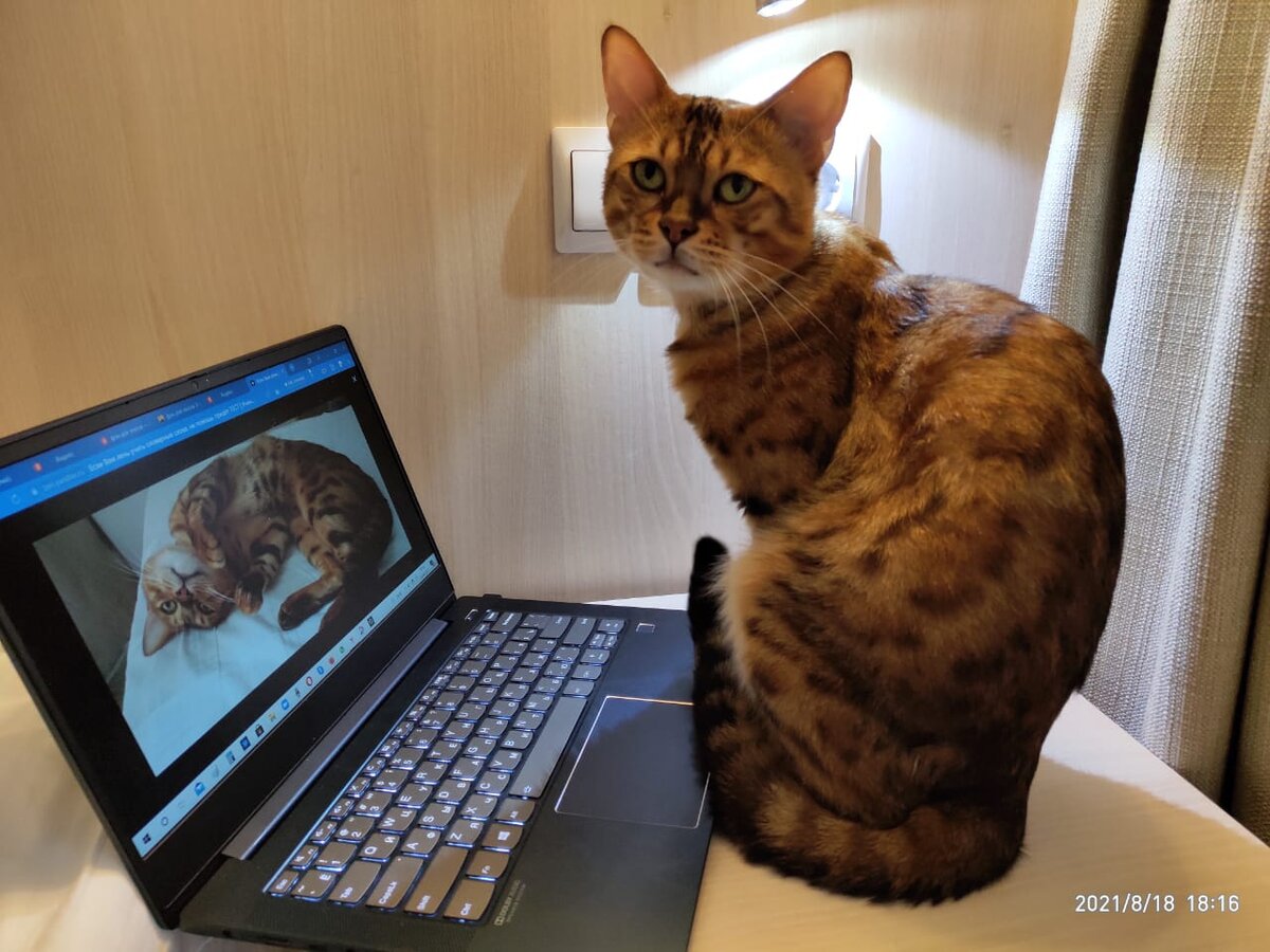 Фото автора)