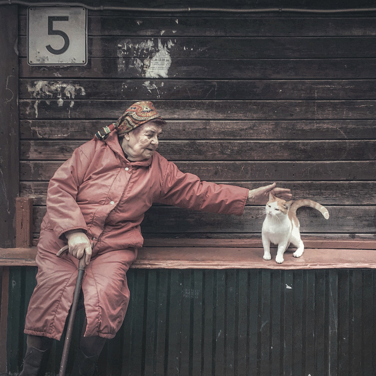 Дмитрий марков фотографии бабушка и собака Летописец российской провинции - фотограф Дмитрий Марков Международный русский П