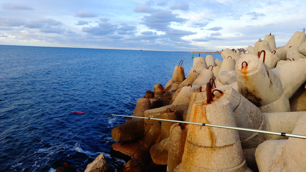 "Гормол", фото автора.