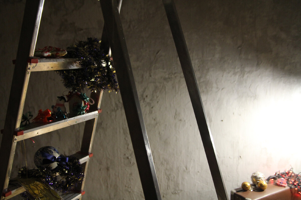 личный архив - фотосет для НГ 2017 год, студия на Варшавке