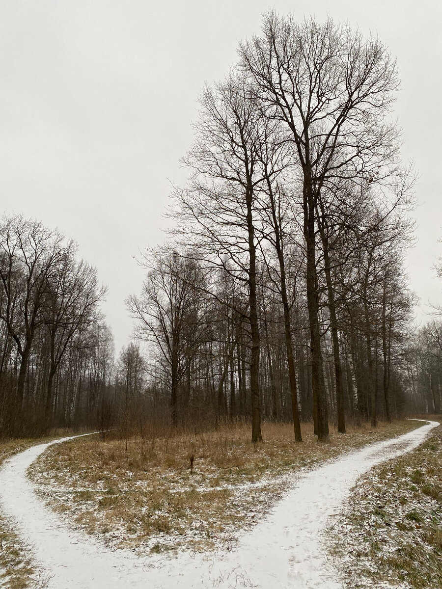 Английский парк