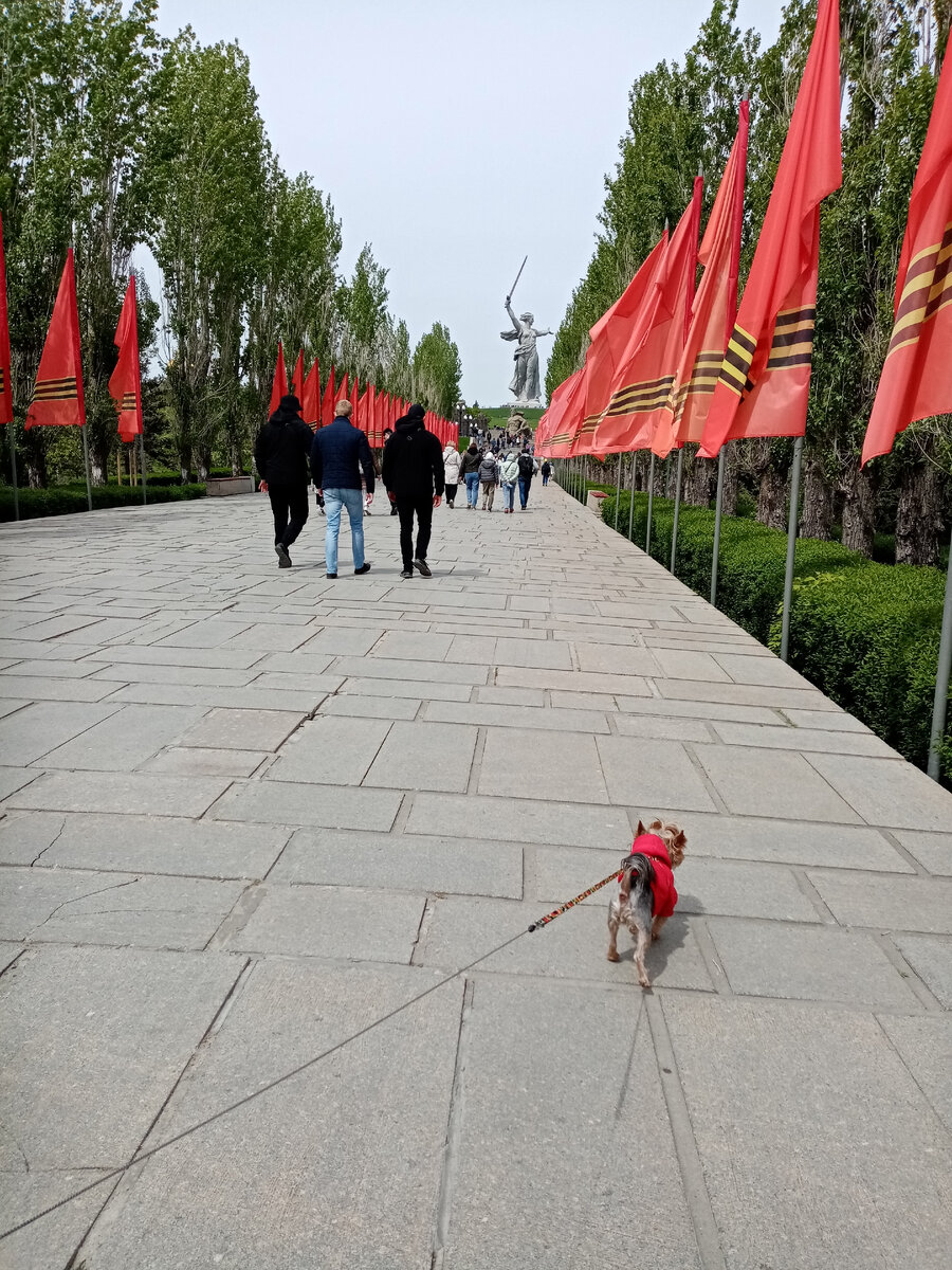 Очень гармонирую с флагами. 