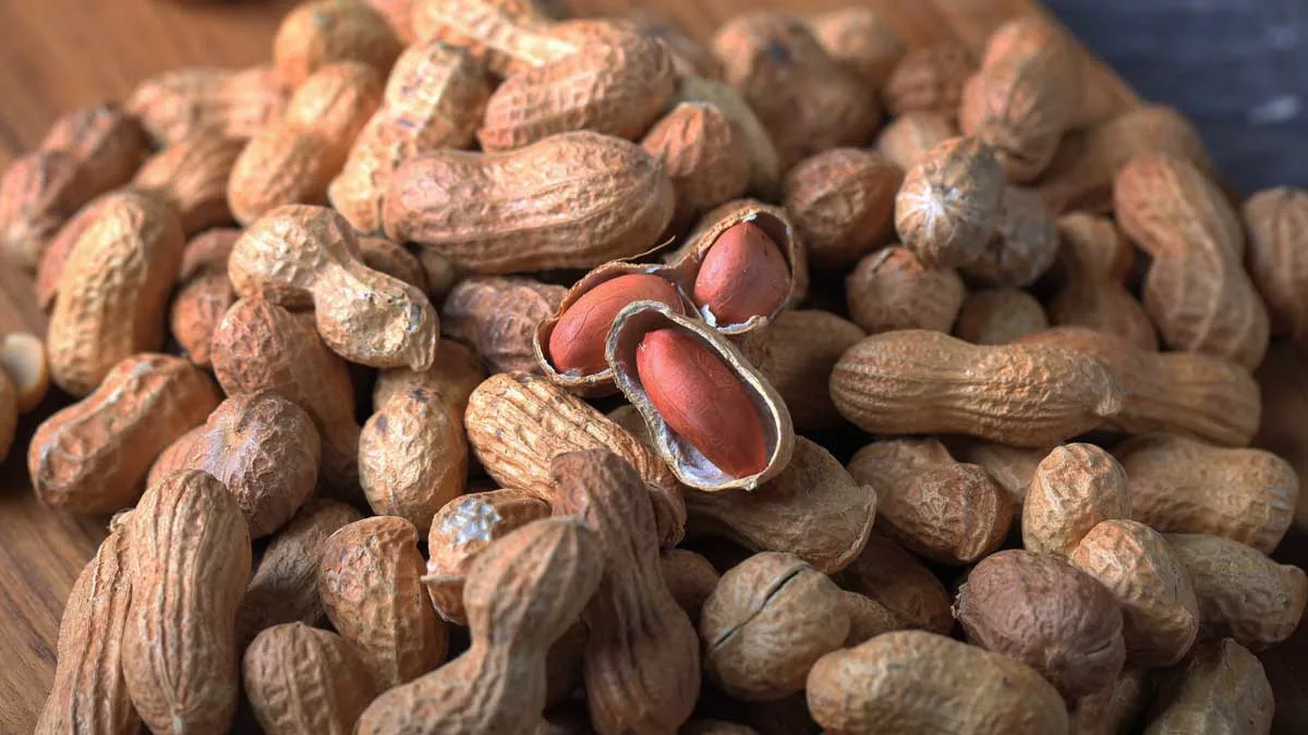 Орешки арахис. Земляной арахис. Орехи арахис. Арахис культурный Земляной орех. Арахис орех 1.