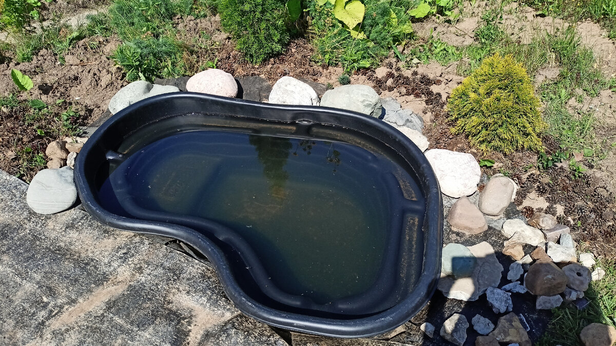 Змеевик и розовый особенно красивые