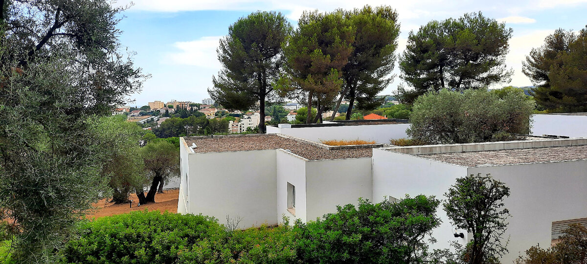 Fondation Hartung- Bergman 