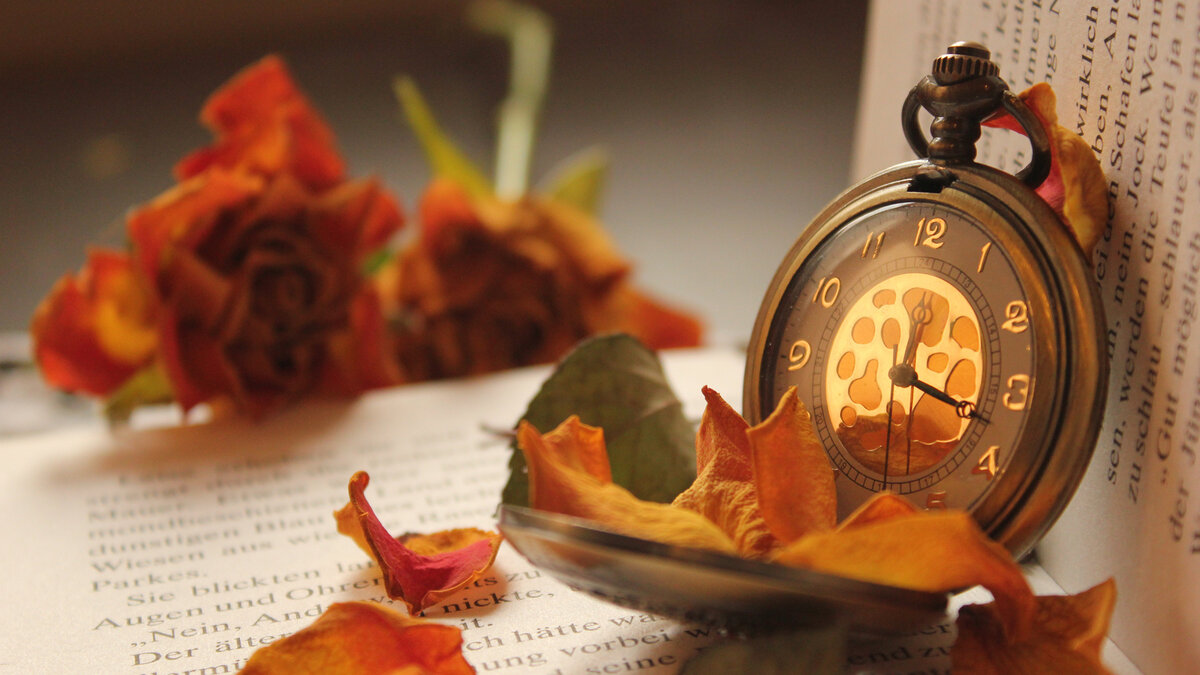                                                          произошел мужской разговор