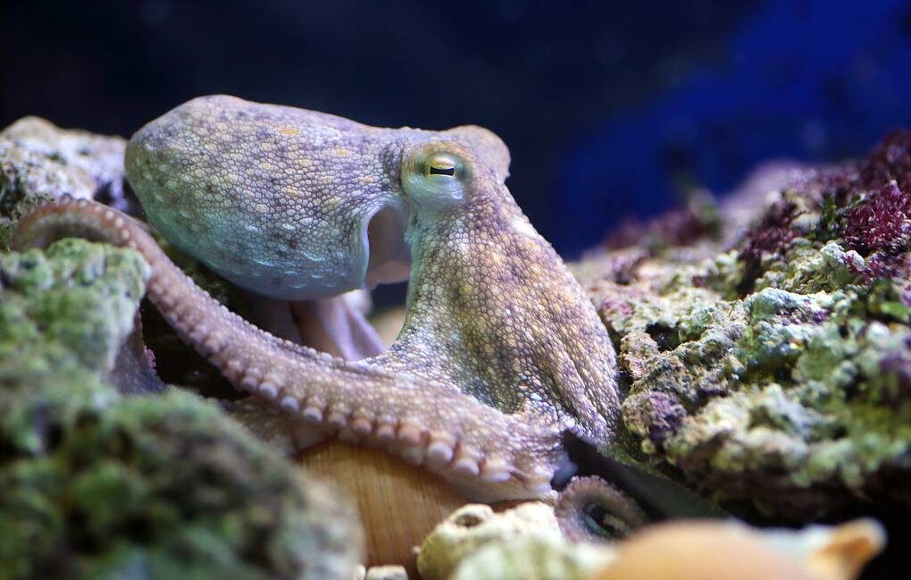 © MattiaATH/Shutterstock/FOTODOM 