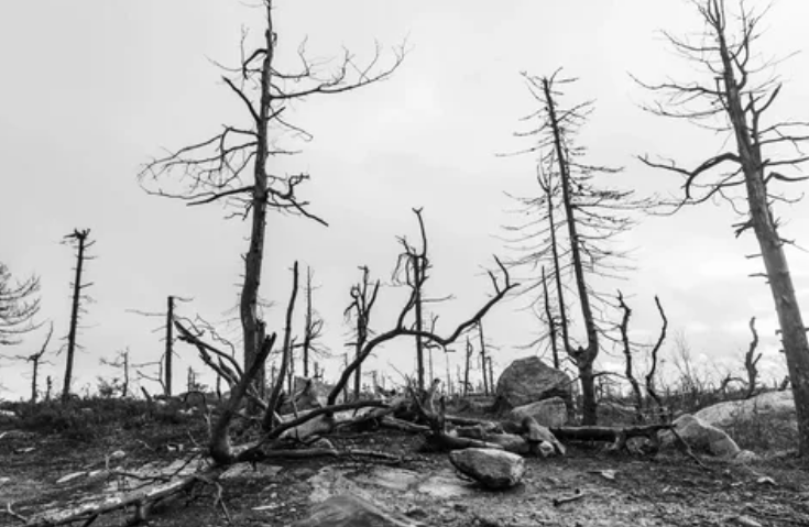 Из открытого источника