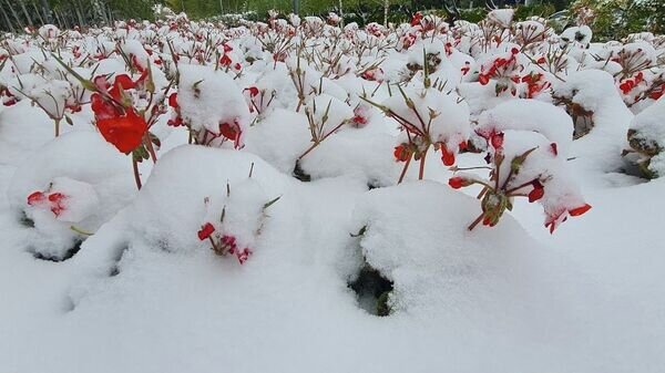    © Sputnik / Тимур Батыршин